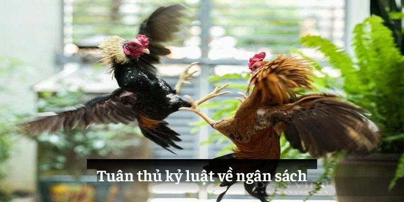 Hiểu rõ quy luật trò chơi