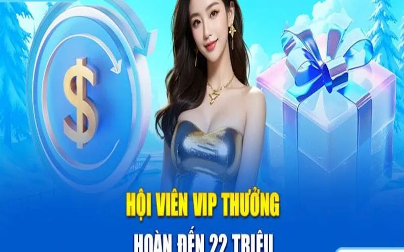 Thương hiệu cần nắm bắt các dữ liệu tổng quan về VIP 99OK